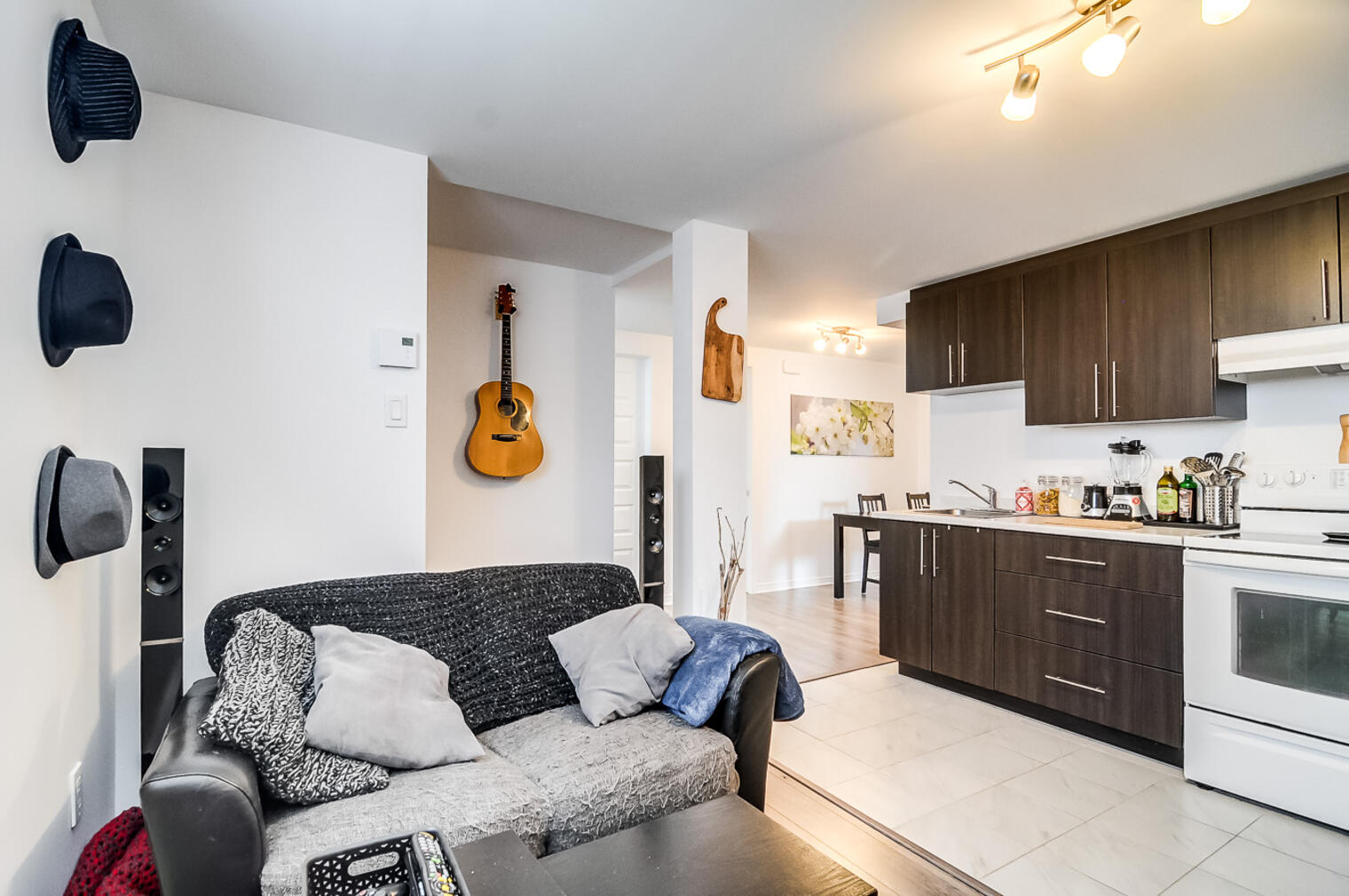 77 Alice-Parizeau Gatineau